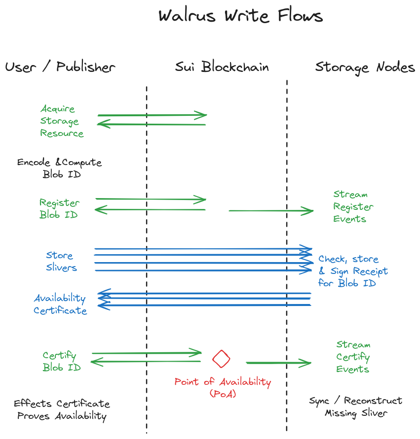 Write paths of Walrus